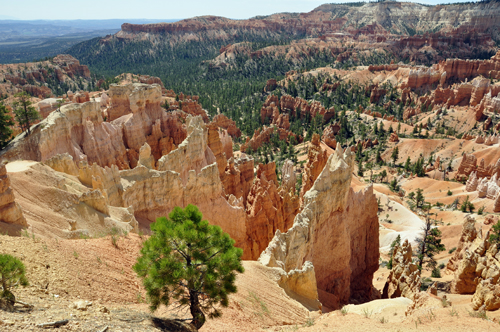hoodoos